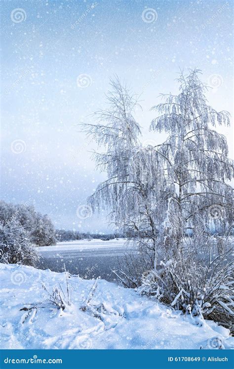 Winter Landscape With Trees Covered With Hoarfrost And Lake Stock
