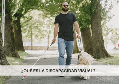 ¿qué Es La Discapacidad Visual La Baja Visión Y Ceguera Legal