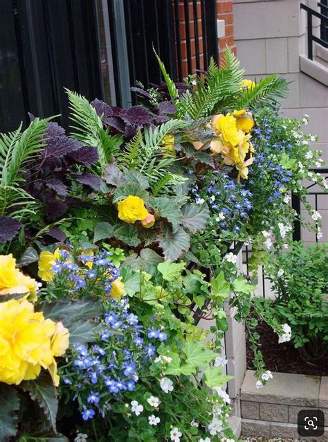 Container Gardening Ideas с изображениями Контейнерное озеленение