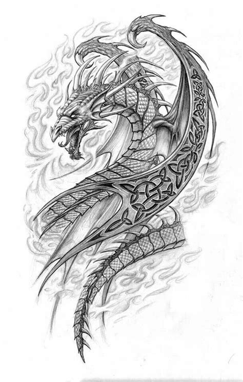 Animal Dragon Tattoos Sketch And Drawings Sketch Art Drawing