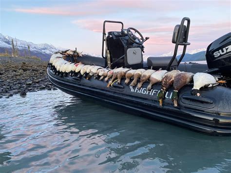 Alaska Sea Duck Hunts Boat Based Sea Duck Hunting Guides