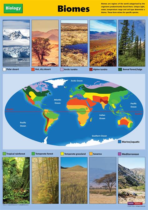 Biomes In 2021 Biomes Classroom Posters Earth And Space Science