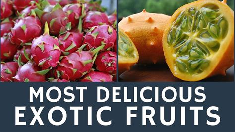 Delicious Exotic Fruits To Try Top 10 Tips For Tourists Youtube