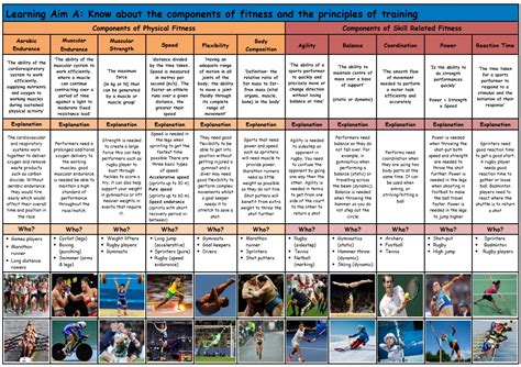 Btec Sport Level 2 Components Of Fitness Knowledge Organiser Unit