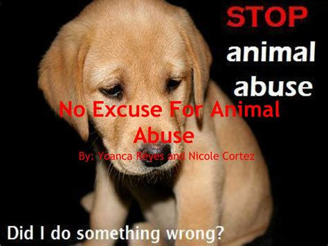 Ppt No Excuse For Animal Abuse Powerpoint Presentation Free Download