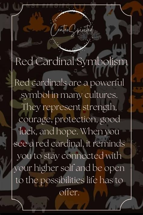 What Does It Mean When You See A Red Cardinalhave You Ever Seen A