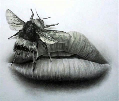 Pin By Aleksandra Ćirić On Black And White Art Drawings Pencil Drawings