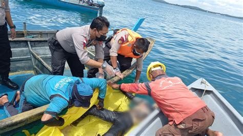 Jasad Nelayan Batam Korban Tabrakan Kapal Kargo Ditemukan Di Perairan
