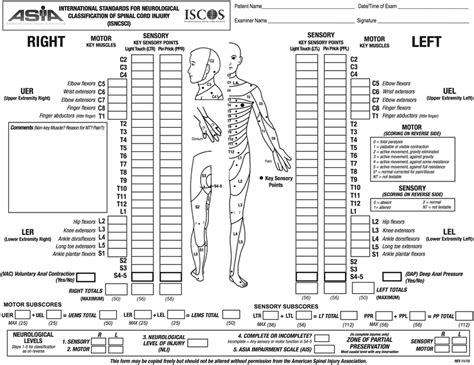 Spinal Cord Injury Asia Impairment Scale Facing Disability