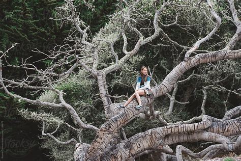 Teenaged Girl Sitting In Tree By Stocksy Contributor Ronnie Comeau Stocksy