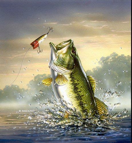 Hunting Fishing Desktop Wallpaper Wallpapersafari