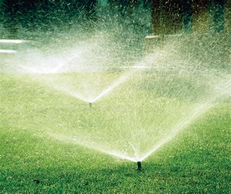 Irrigation System Tune Up North City Water District