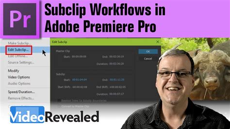 Subclip Workflows In Adobe Premiere Pro Infographie