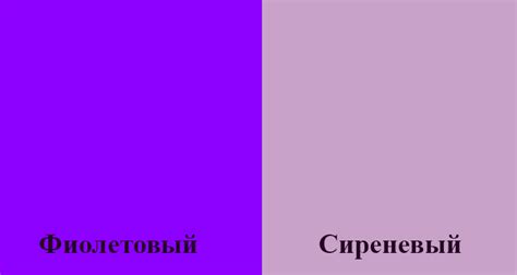 Сиреневый И Фиолетовый Цвет Отличие Фото