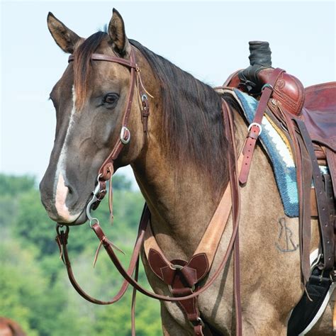 Weaver Rough Out Oiled Canyon Rose Pulling Breastcollar The Cheshire