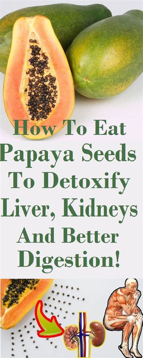 How To Eat Papaya Seeds To Detoxify Liver Kidneys And Better Digestion