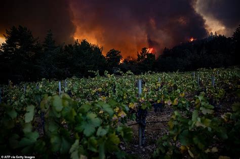 Famed Napa Valley Winery Is Destroyed By The Glass Fire As 2 000 Are Ordered To Evacuate Daily