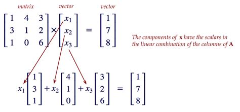 A Beginners Guide To Understanding Vectors For Linear Algebra