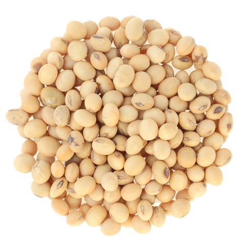 Soybeans Non Gmo Yellow Soybean Soya Bean Seedthailand Price