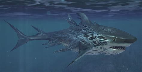 It was the largest predatory shark ever, even more powerful than the largest dinosaurs. Champion Auferstandener Megalodon - Guild Wars 2 Wiki