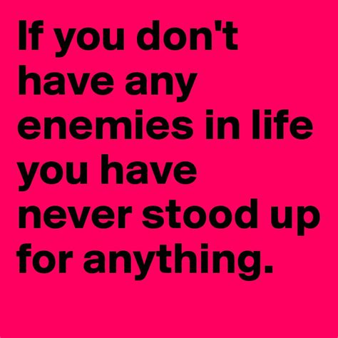 If You Dont Have Any Enemies In Life You Have Never Stood Up For
