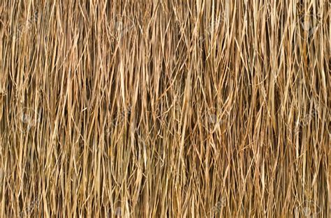 Image Result For Thatch Roof Texture Thatched Roof Roof Architecture