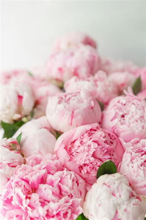 Beautiful Bouquet Of Pink Peonies Floral Composition Daylight Wallpaper Lovely Flowers In