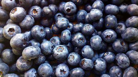 Free Images Fruit Berry Food Produce Blueberry Fresh Berries
