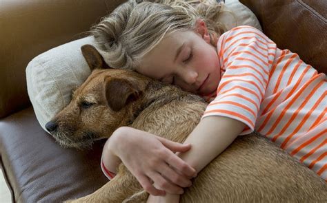 Why Some Dogs Like To Cuddle And Some Dont Know The Reason