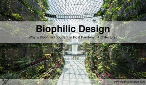 Biophilic Design Why Is Biophilia Important In Post Pandemic
