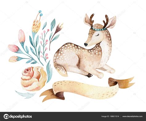 Cute Baby Deer Animal Nursery Isolated Illustration For Children