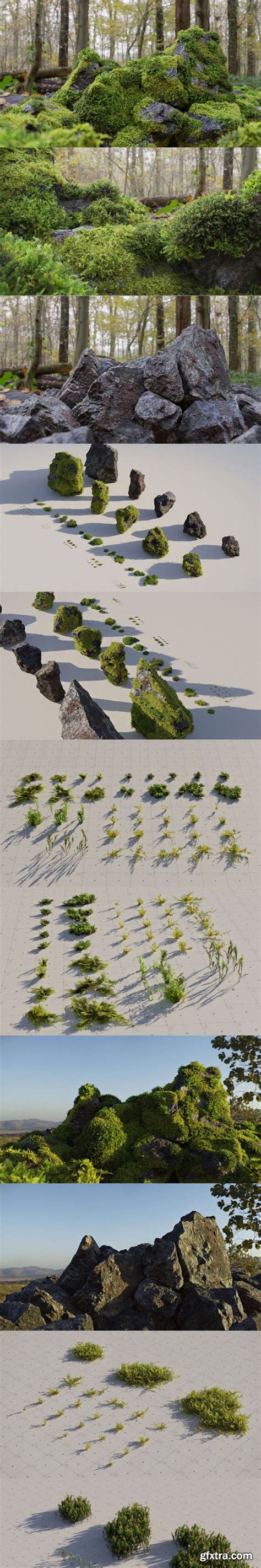 Cgtrader Moss 7 Species And Stones Pbr Asset Kit Vr Ar Low Poly