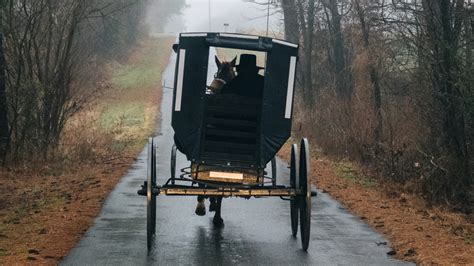 The Untold Truth Of Amish Mafia