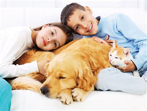 Atividades Animais De Estimação