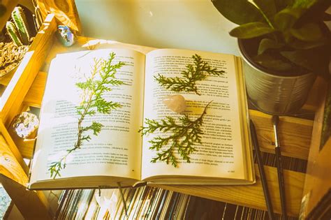 Opened Book · Stock Bookish Hd Wallpaper Peakpx