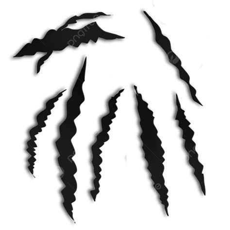 0 Result Images Of Lion Claw Marks Png Png Image Coll
