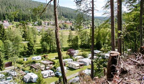 Camping Schwarzwald Auf Dem Campingplatz Müllerwiese