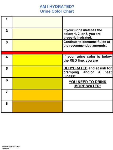 Free Printable Urine Color Charts Word Pdf