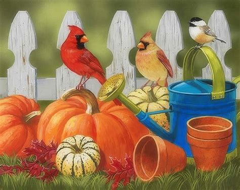 Free Download Garden Harvest Watering Birds Garden Colors