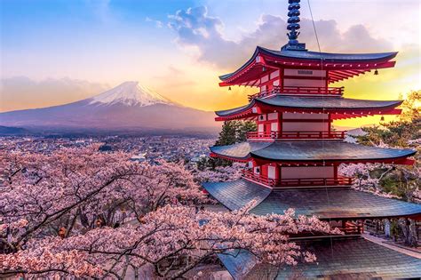 Tokyo Travel Essentials Useful Information To Help You Start Your
