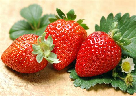 Albion Everbearing Strawberry 10 Bare Root Plants New Extra Large