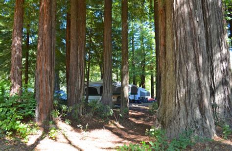 Giant Redwoods Rv Park And Camp Myers Flat Ca Resort Reviews