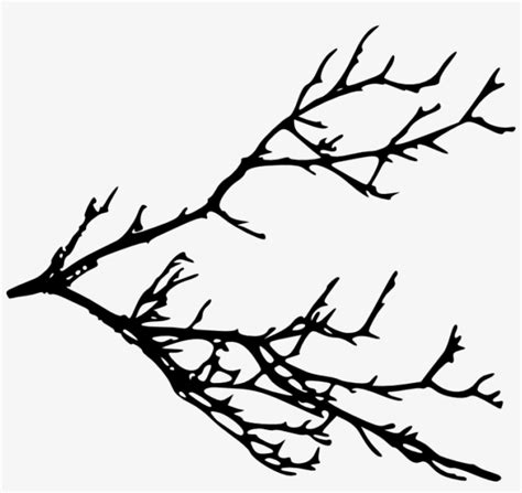 Tree Branch Silhouette Png