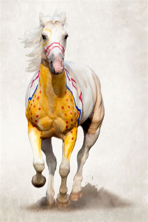 The purse money in india is generally far less than in other regions like hong kong or the uk, and there is a notable lack of suitable farmlands. "A Song for the Horse Nation" Gallops into Washington ...