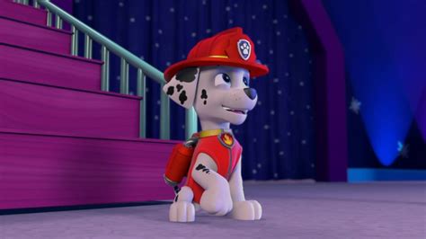Paw Patrol Pups Save Friendship Day Song Video Dailymotion