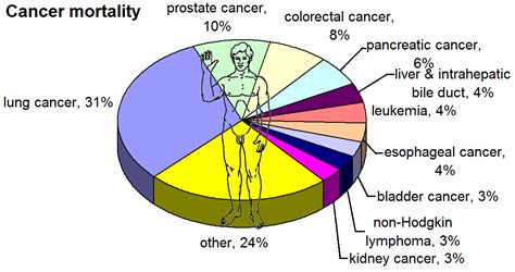 ملف Most common cancers male by mortality png المعرفة