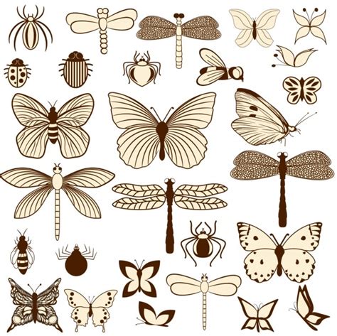 Free Vector Insects Design