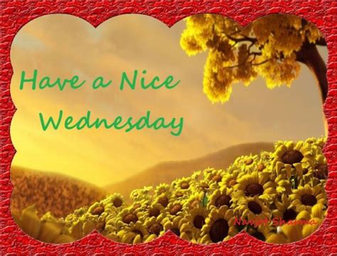 Have A Nice Wednesday Wednesday