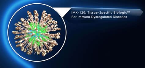 Immixbio Initiates Gmp Manufacturing Of Imx 120 A Biologic For