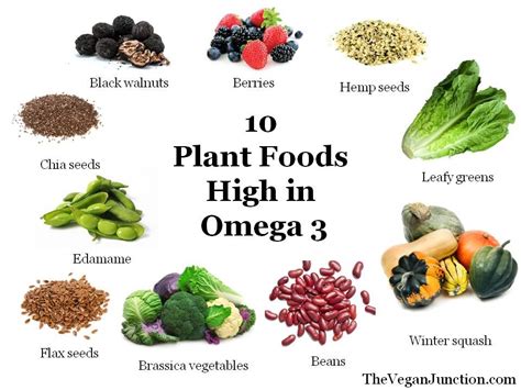 However, they are also high in omega 6 fatty acids. 10 Plant Foods High in Omega-3 and How to Add Them to Your ...